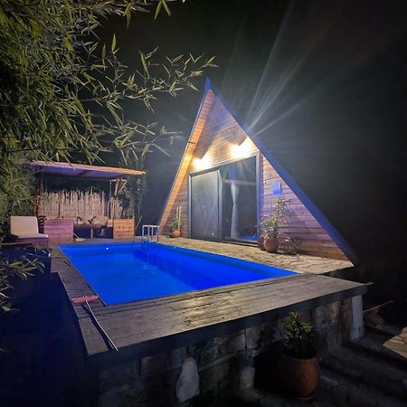 Unique Wooden Villa With Pool Olympiada Dış mekan fotoğraf